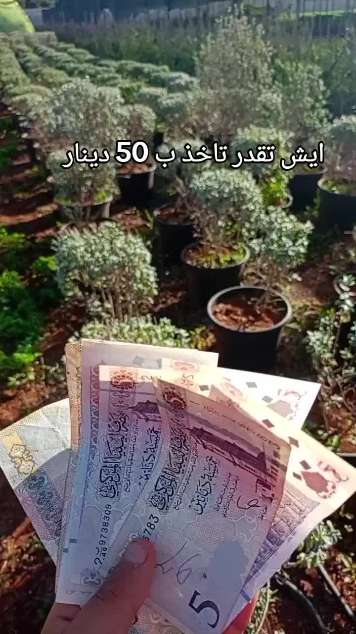 @مشتل الرحمن
