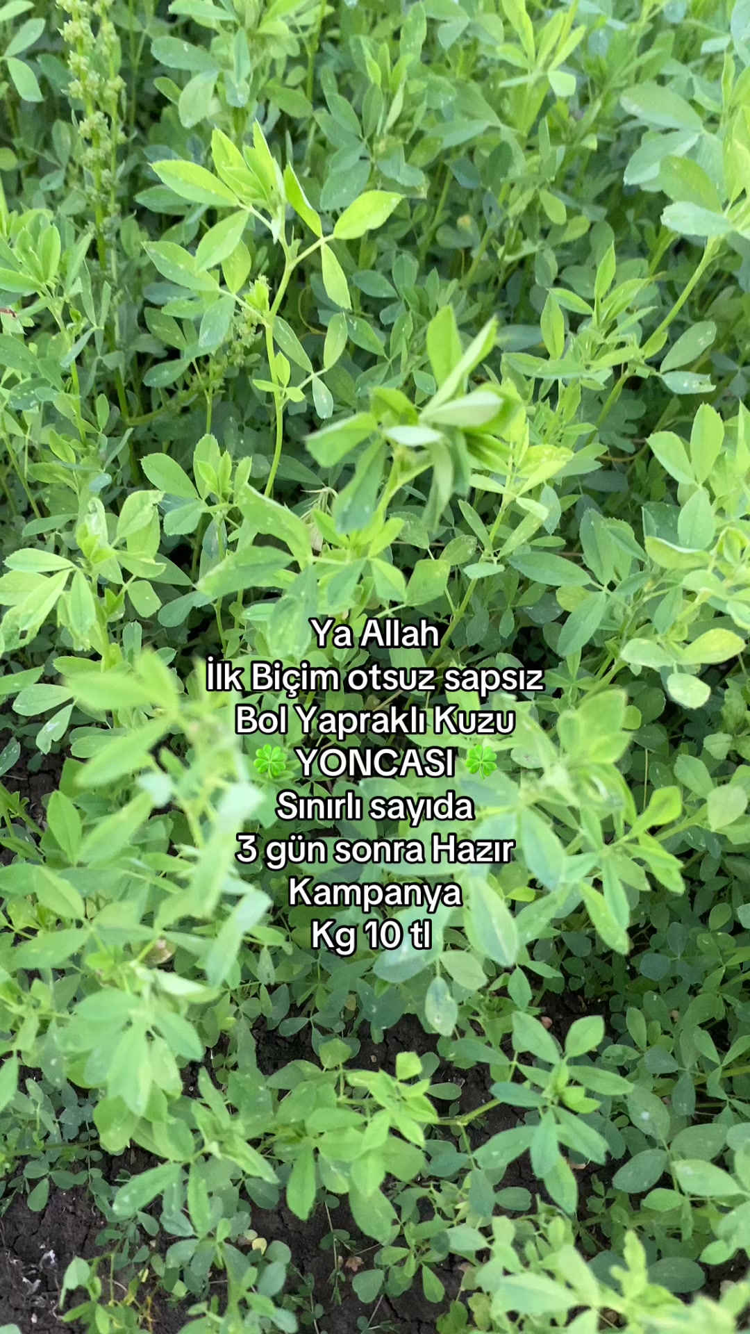 @G&uuml;ven897