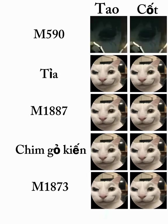 @bá sàn 2k17