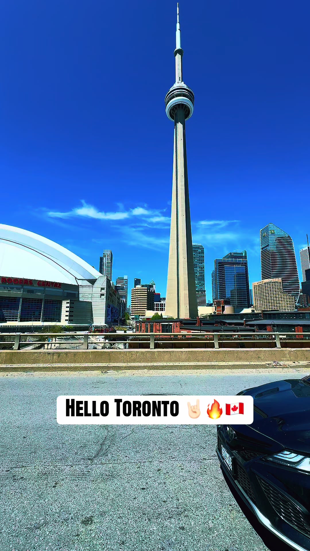 @Toronto Vibe🇨🇦
