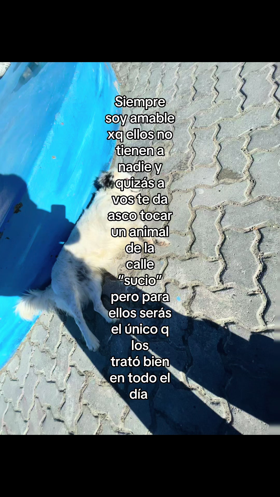@𝕮𝖍𝖎𝖆🇮🇹