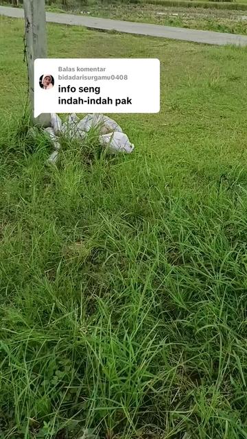 @akun berkah