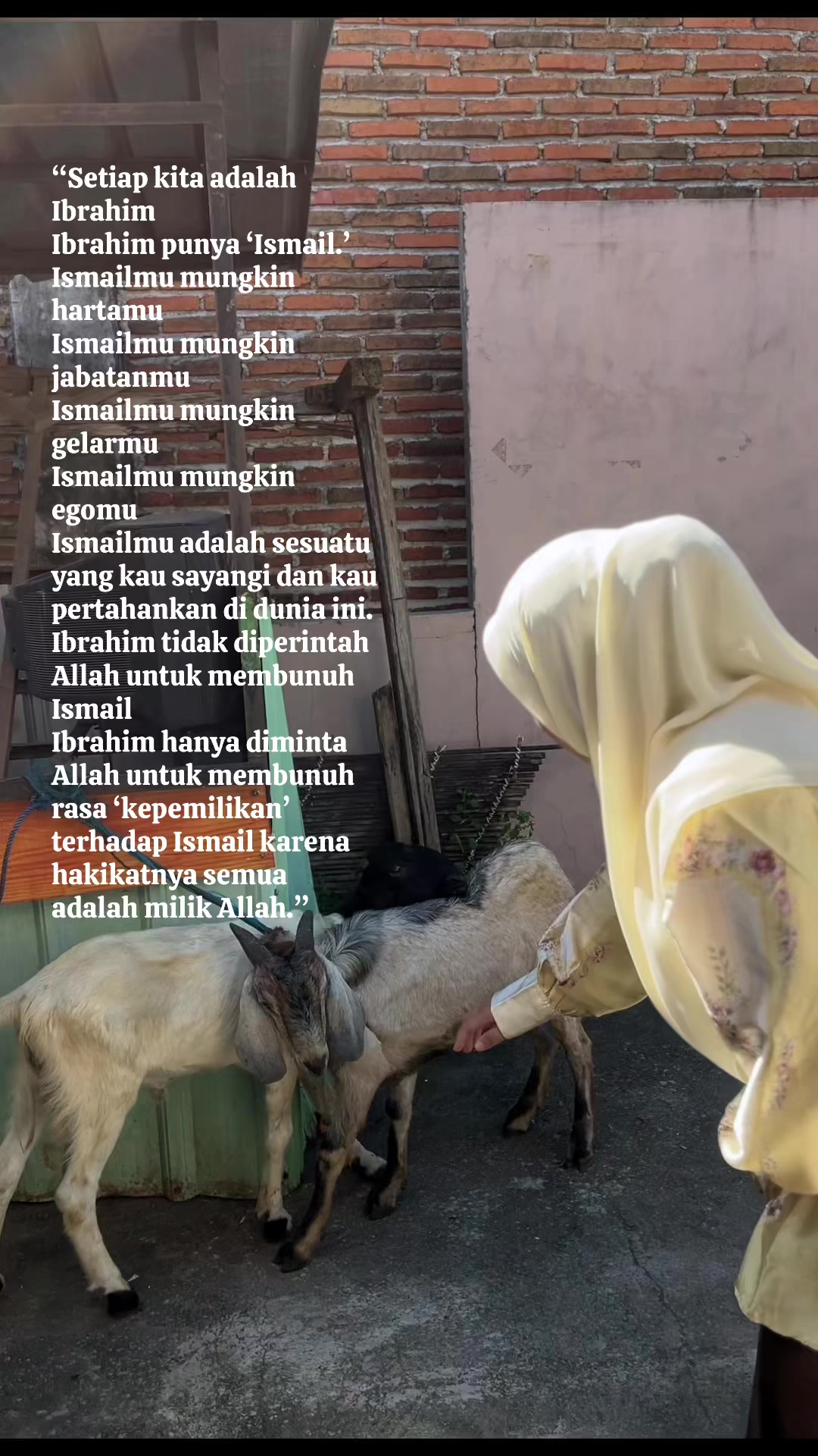 @Dinishop taliwang