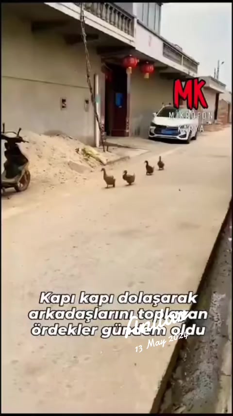 @yılmaz &Ccedil;etinkaya