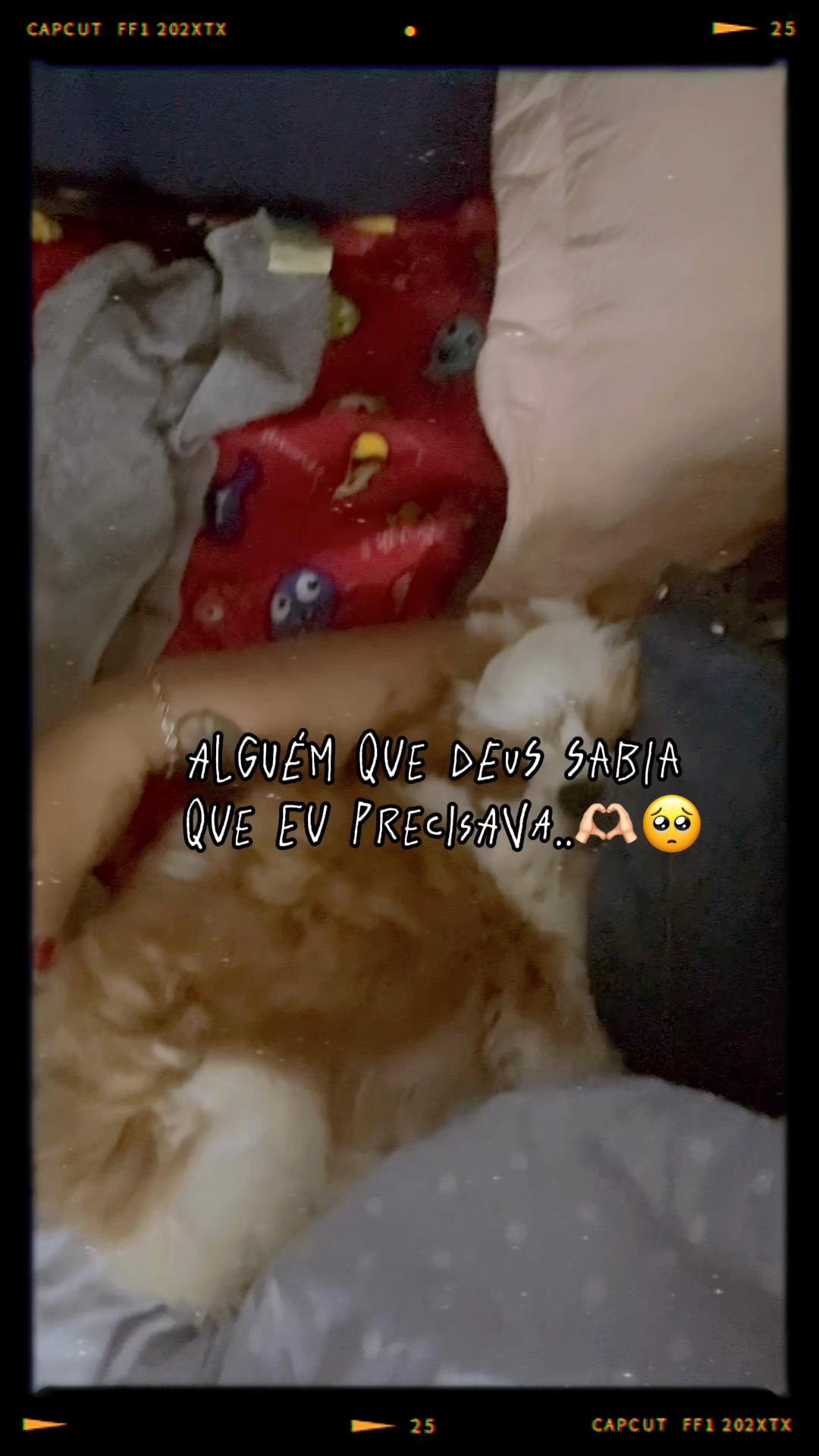 @Jessica Barros