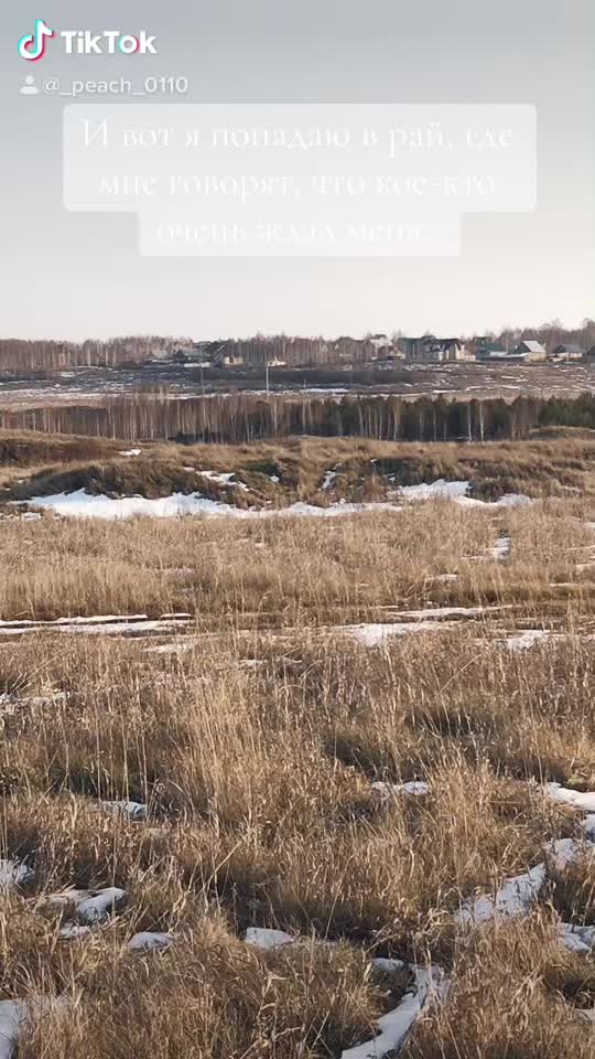 @Дизлайка