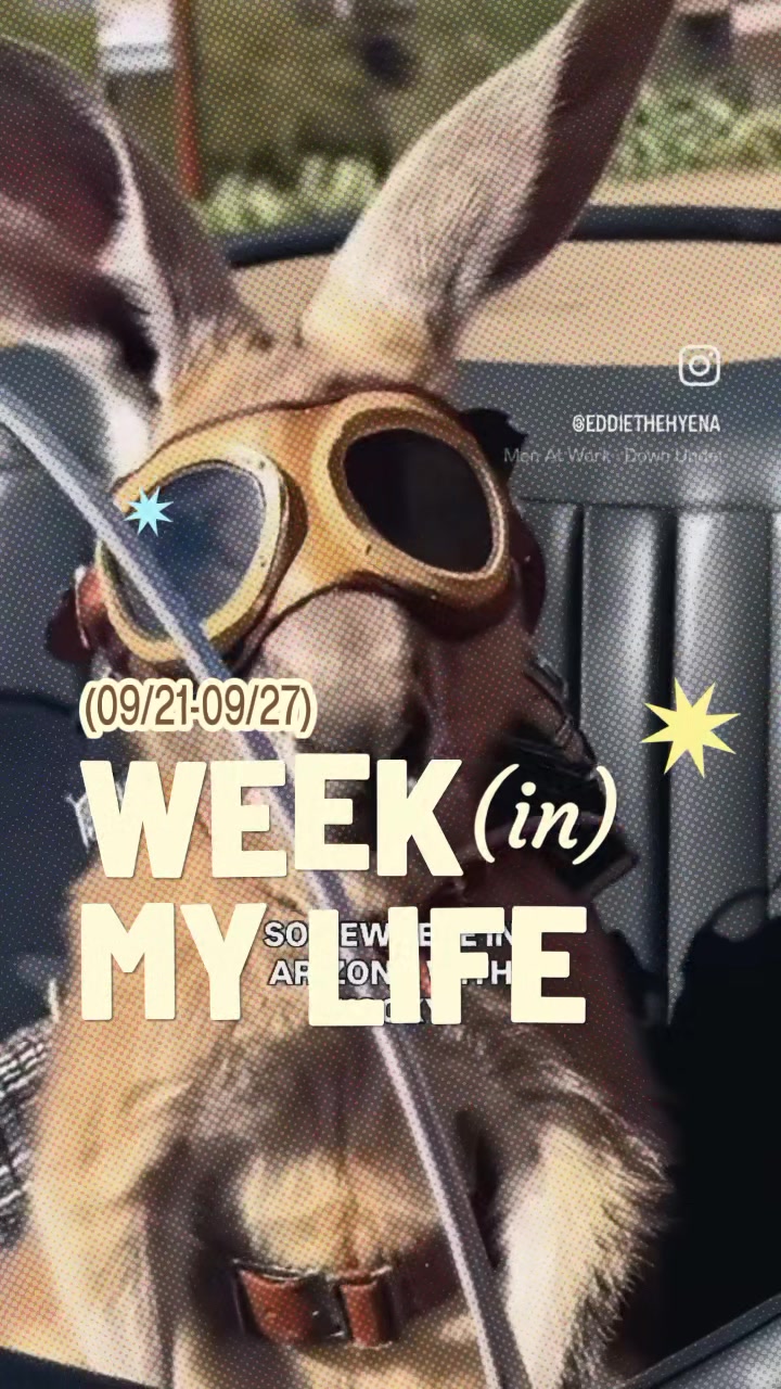 @EddieTheHyena