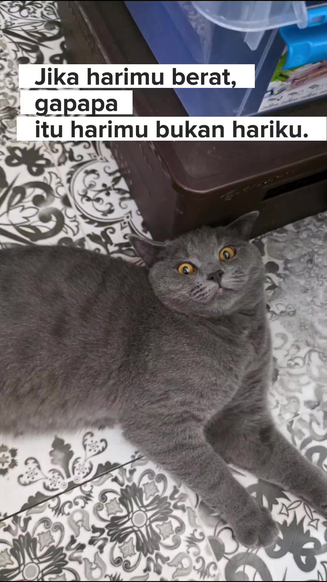 @anggian