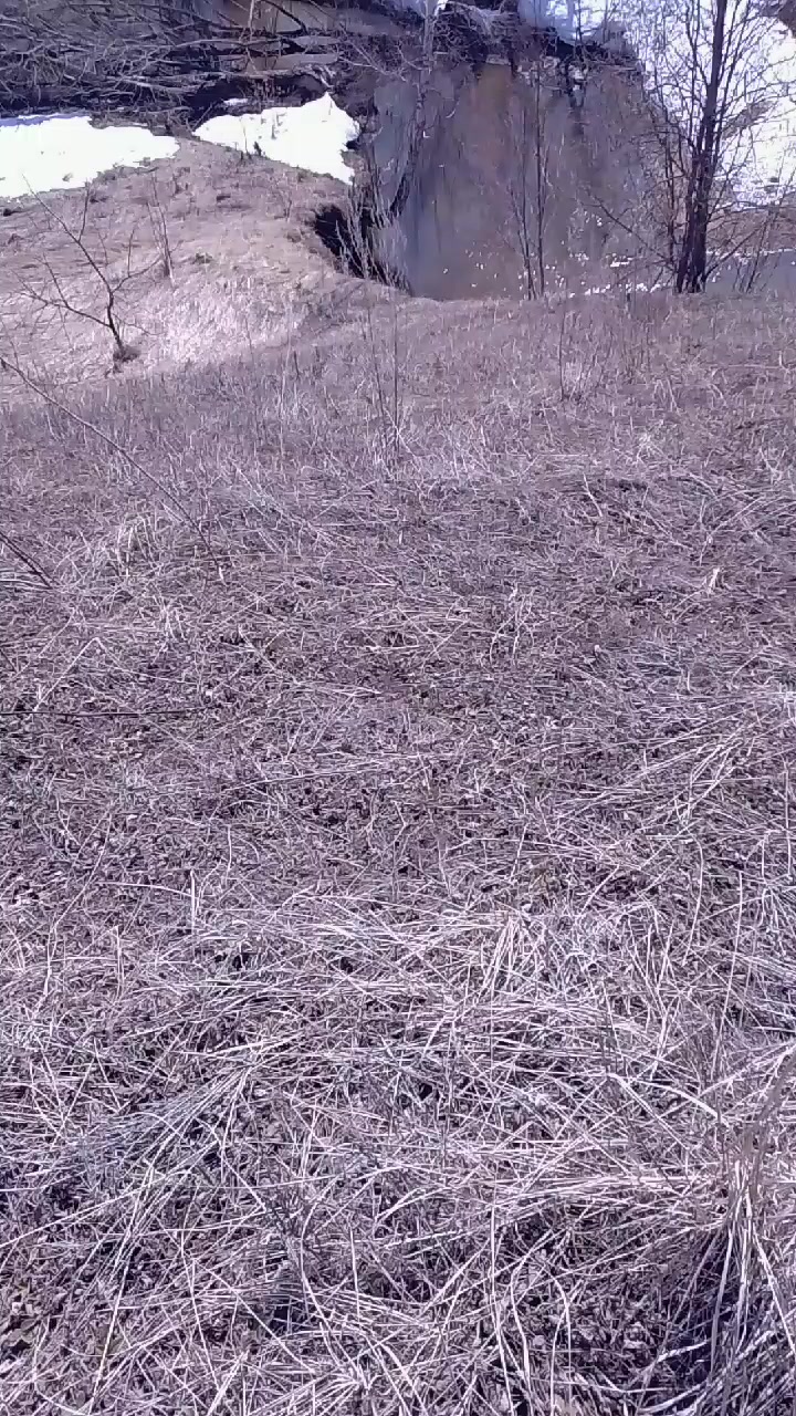 @Балыкчы Малай