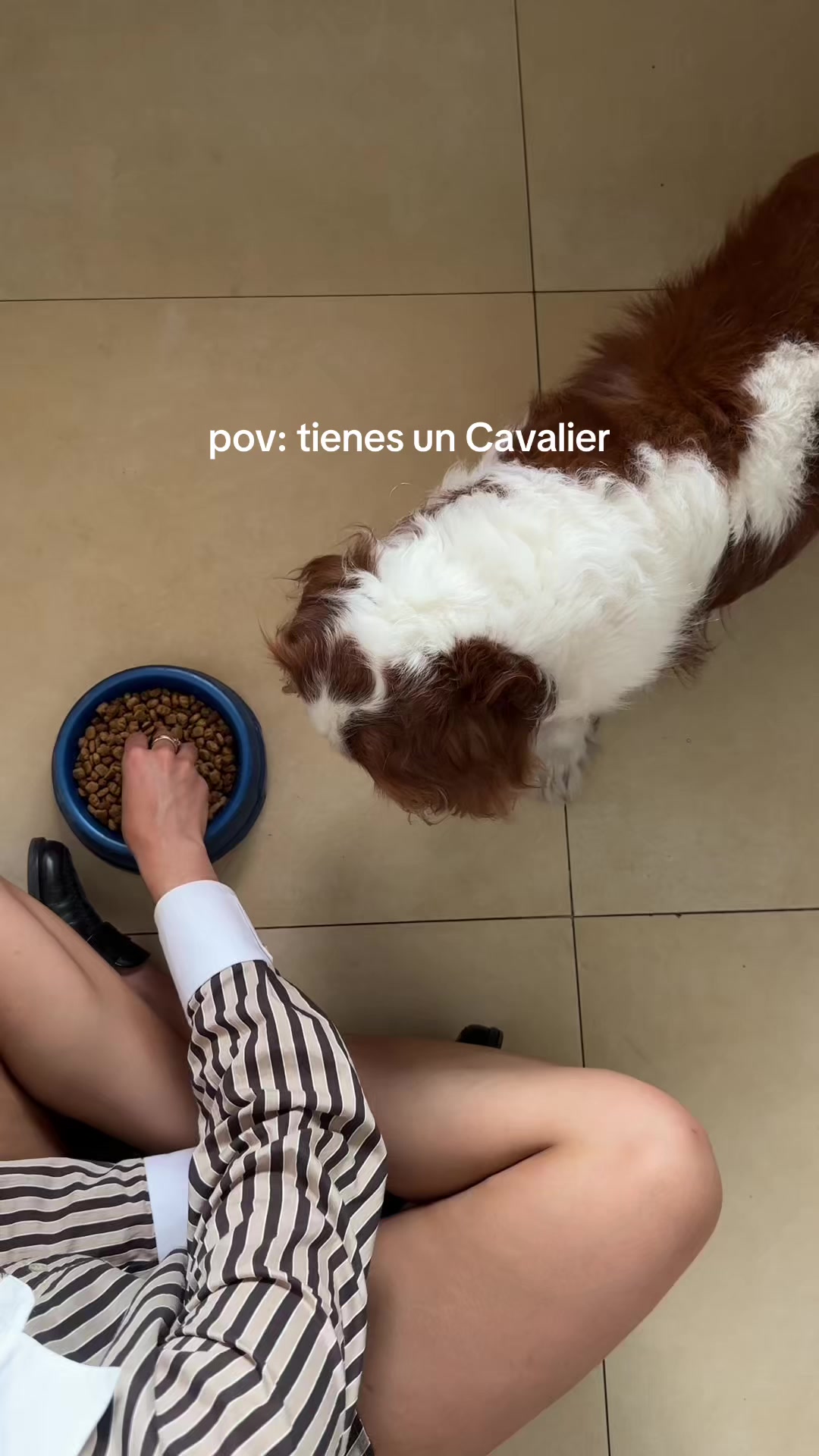 @Sara L&oacute;pez