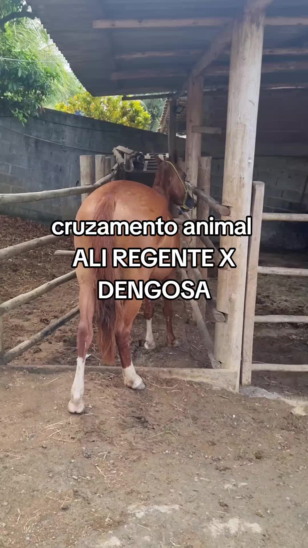 @claudenir Pereira Pinto