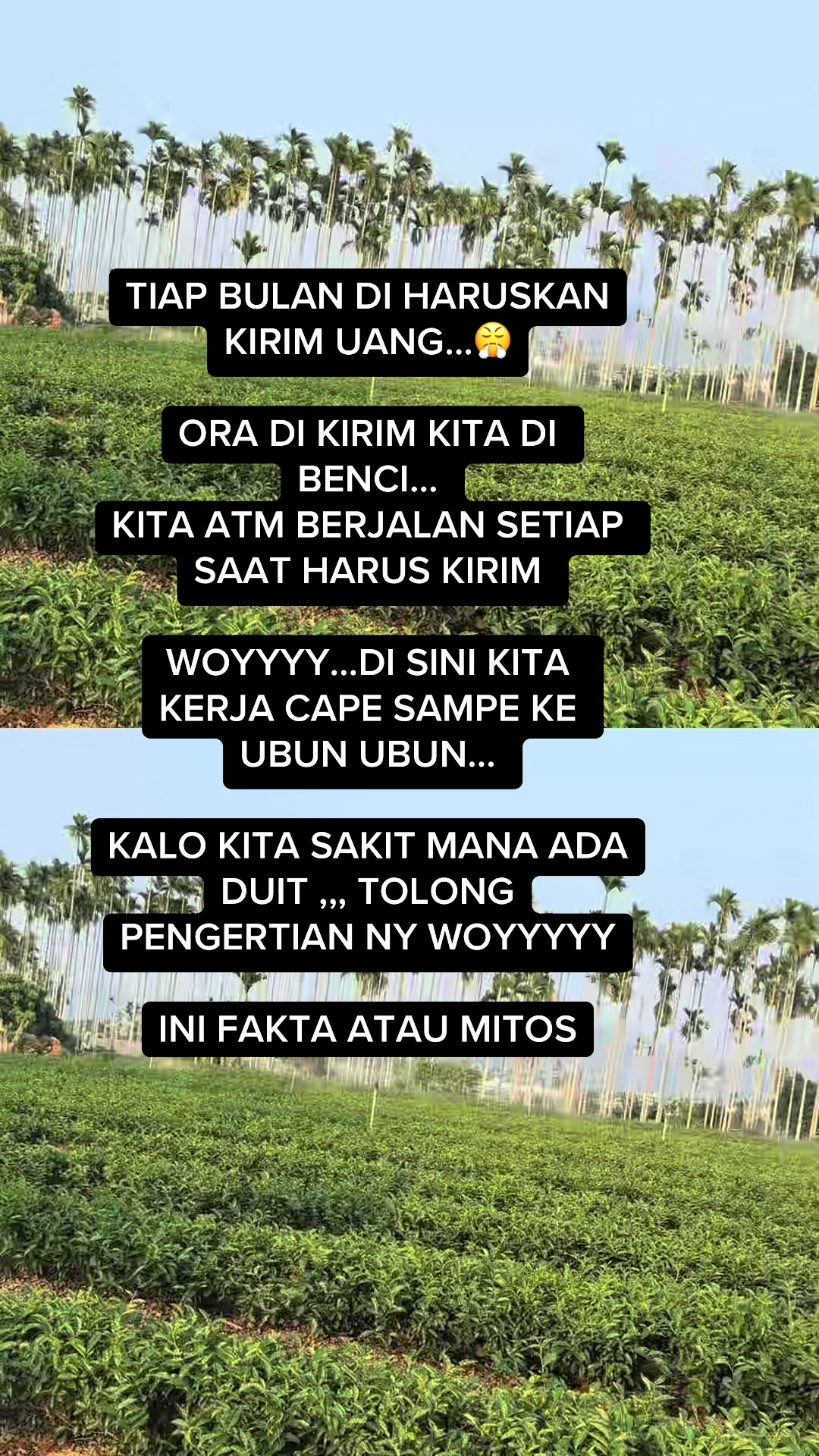 @Dek luna