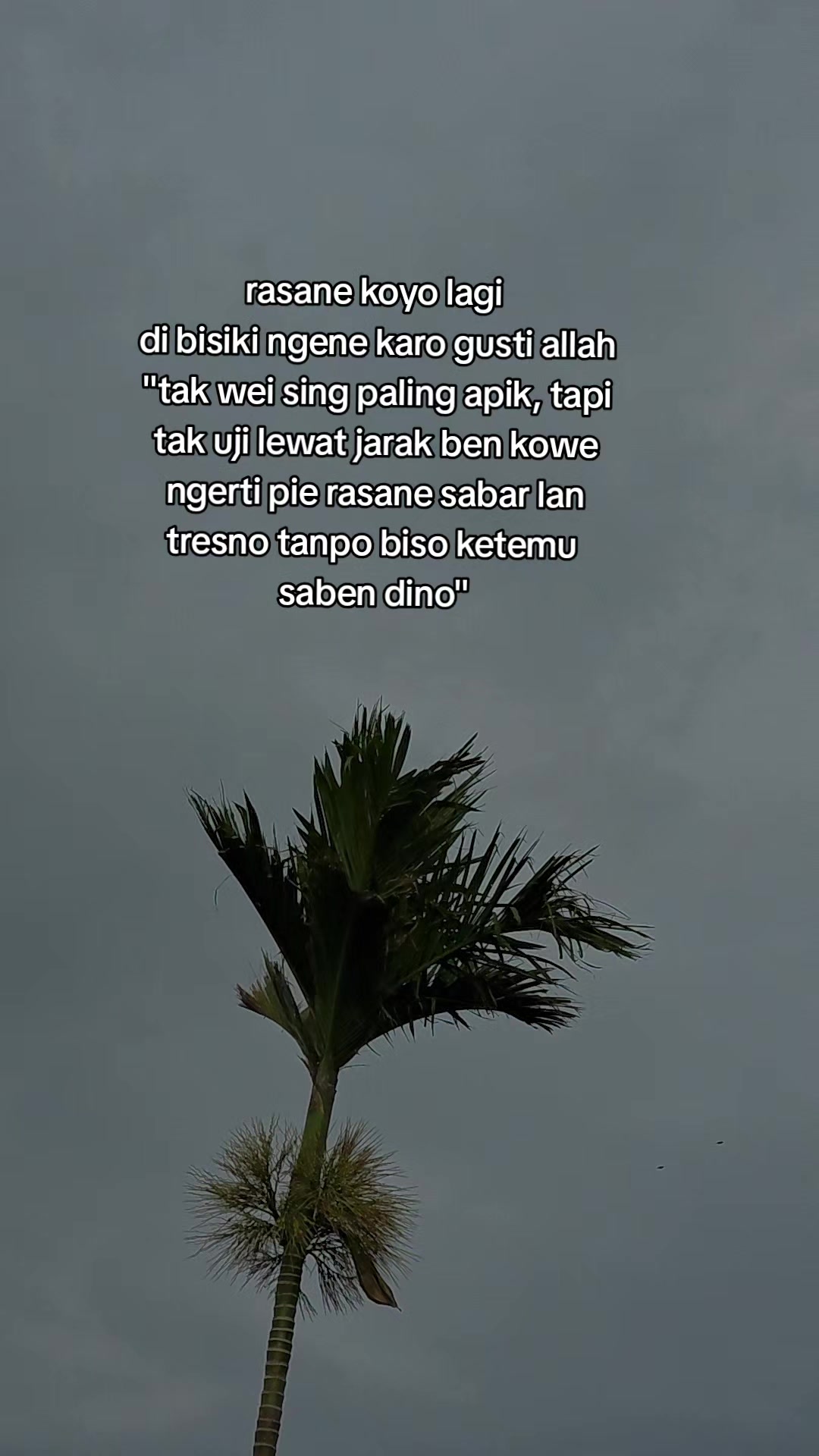 @Merindu🌼