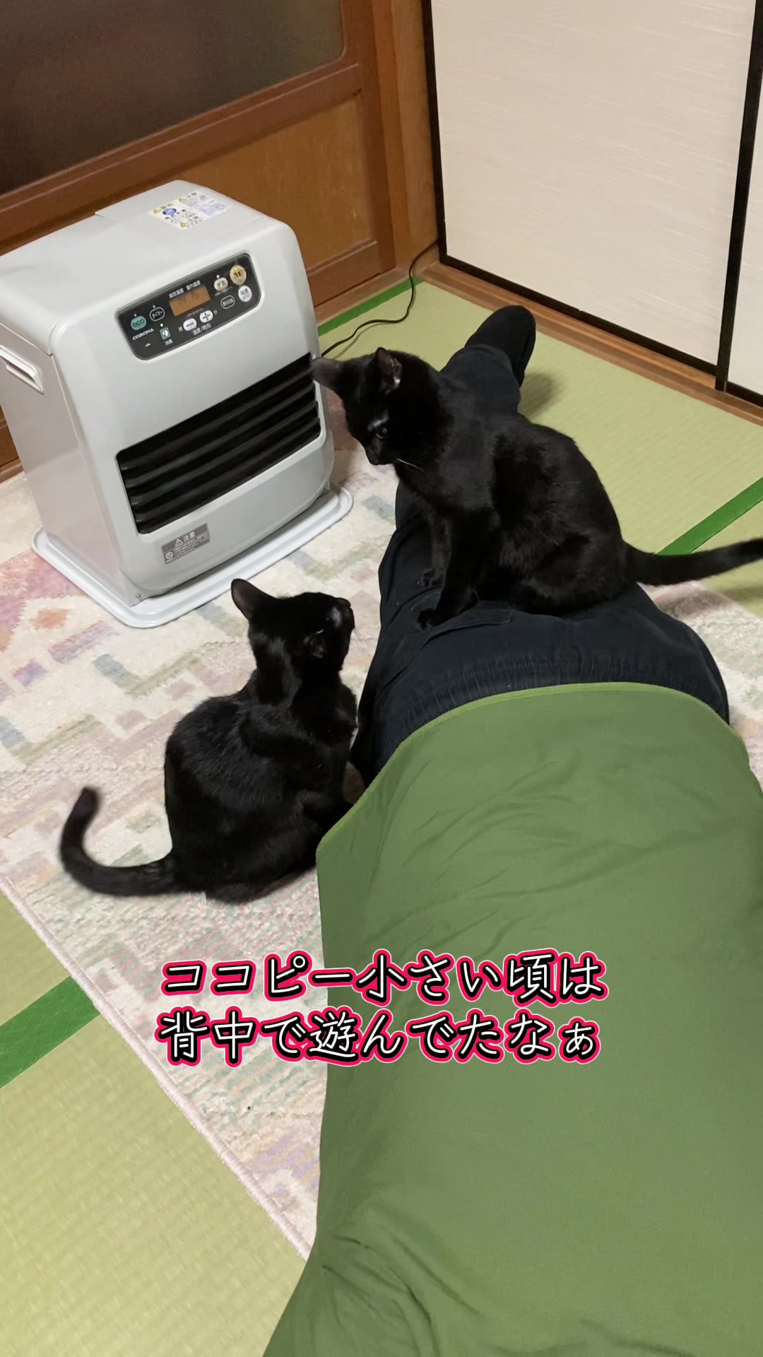 @黒猫兄弟ココピー&カリン