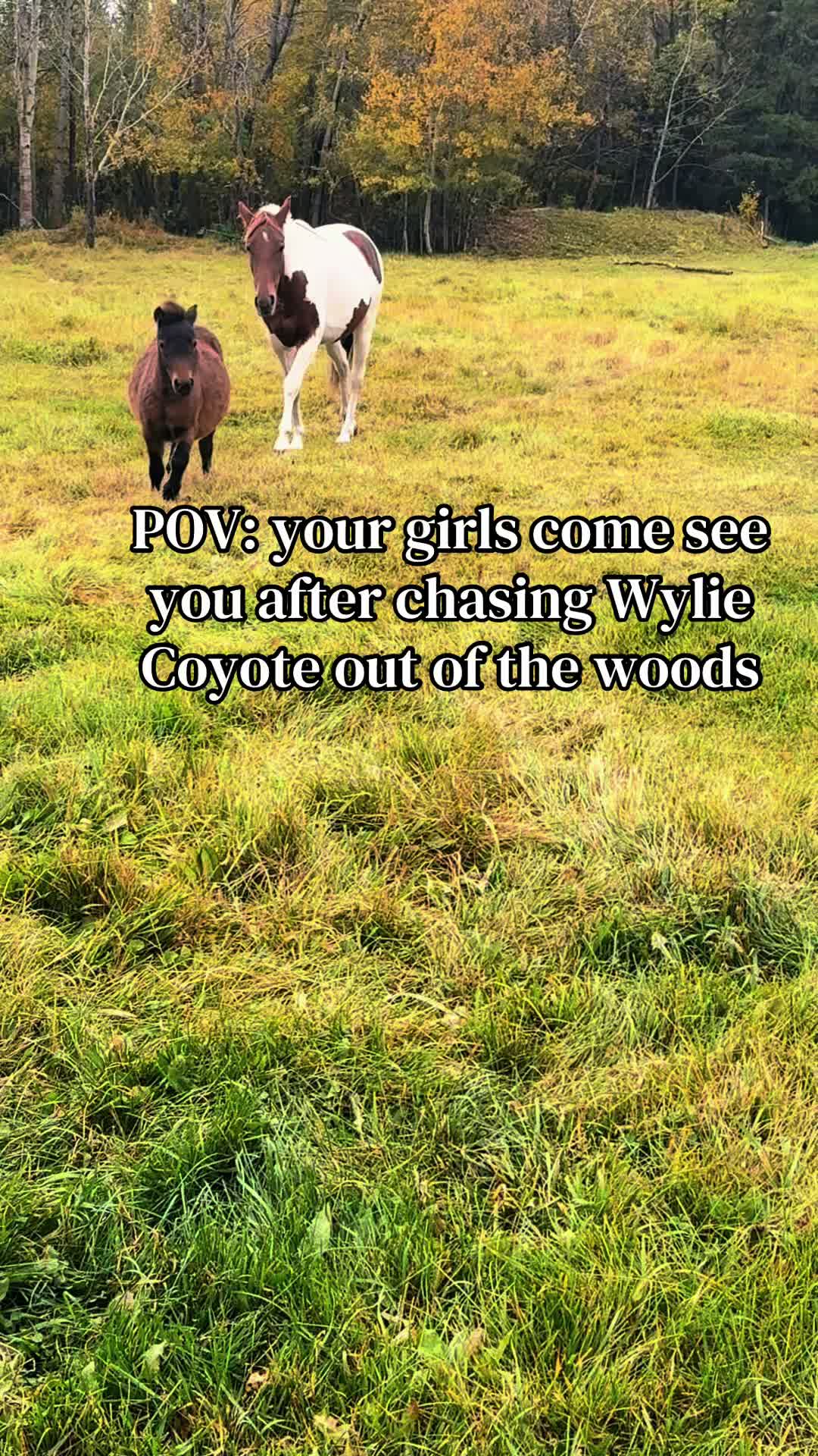 @Ferally Fowl Farmstead