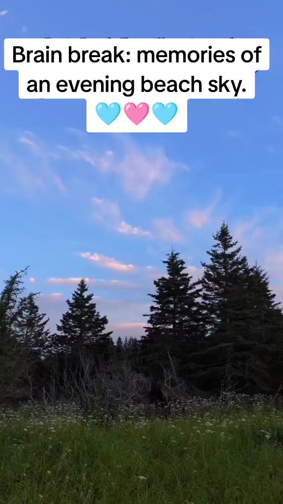 @MommaChonk🇨🇦