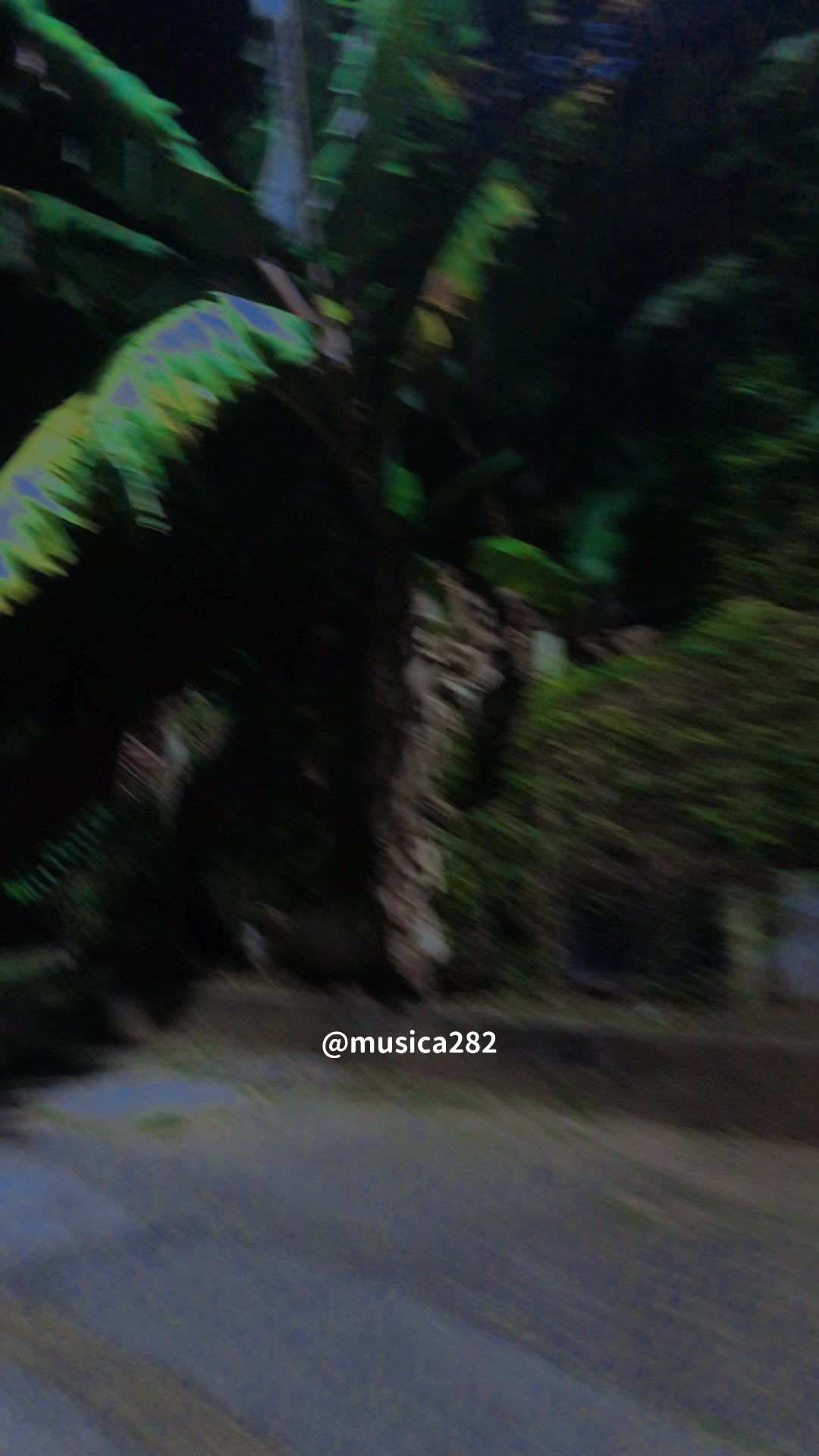 @musica282