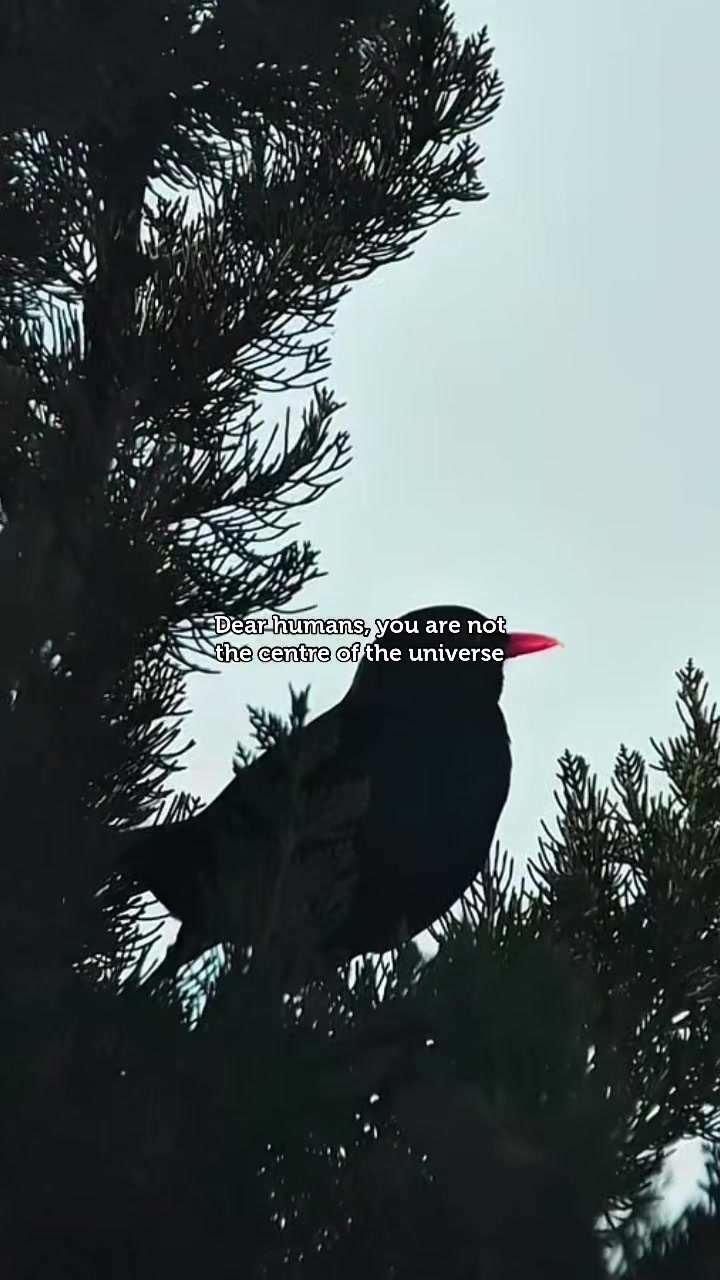 @help.the.planet