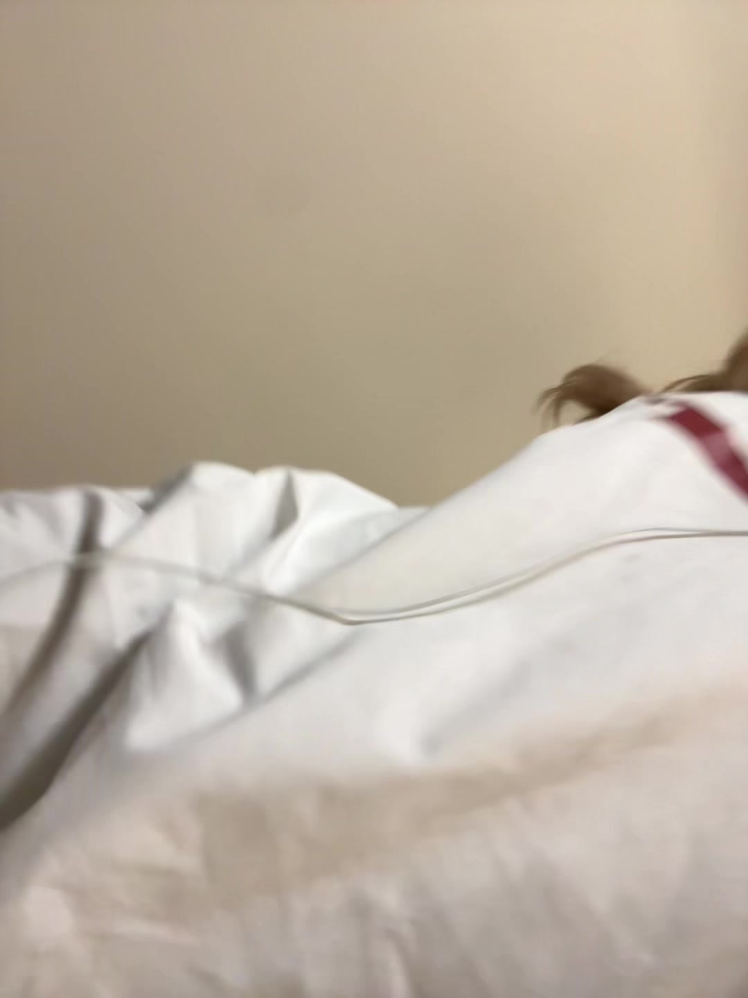 @nonverbal