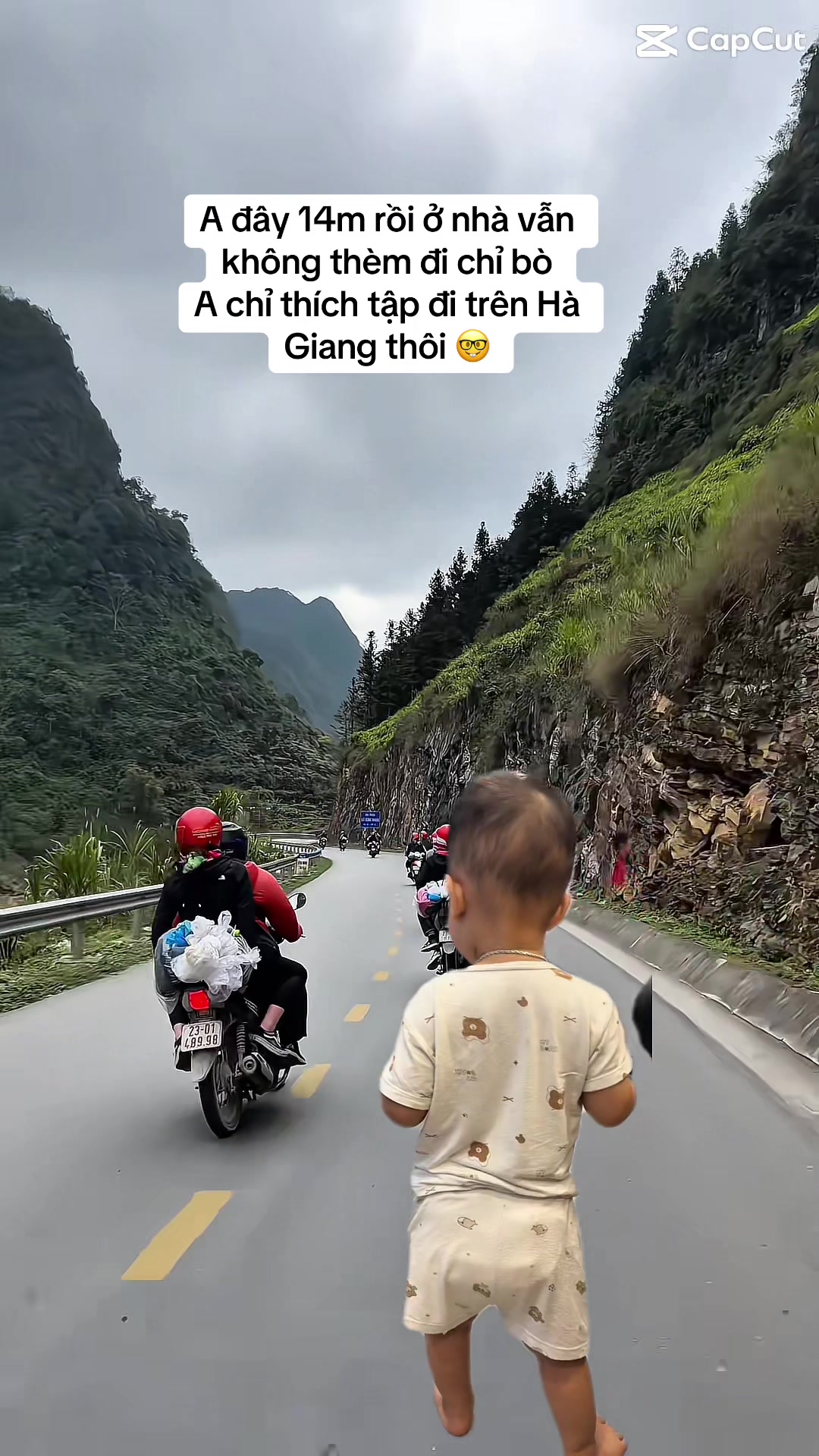 @Cá Heo Cá Voi