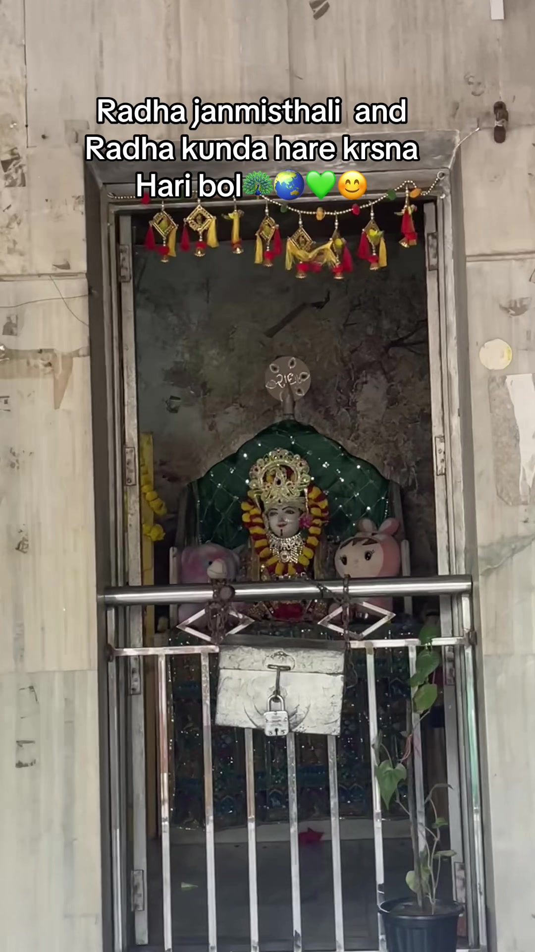 @Krsna sakhi🦚🪈💚