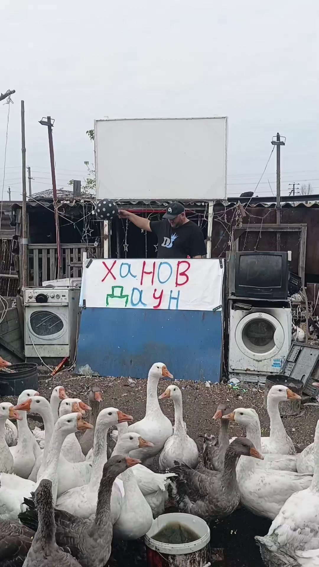 @весёлые поздравления с гусями