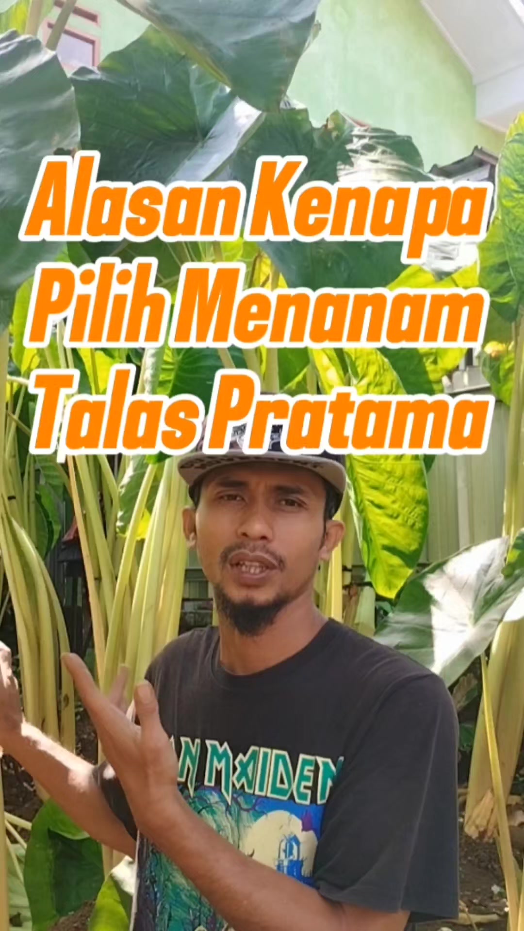 @Bukit Farming