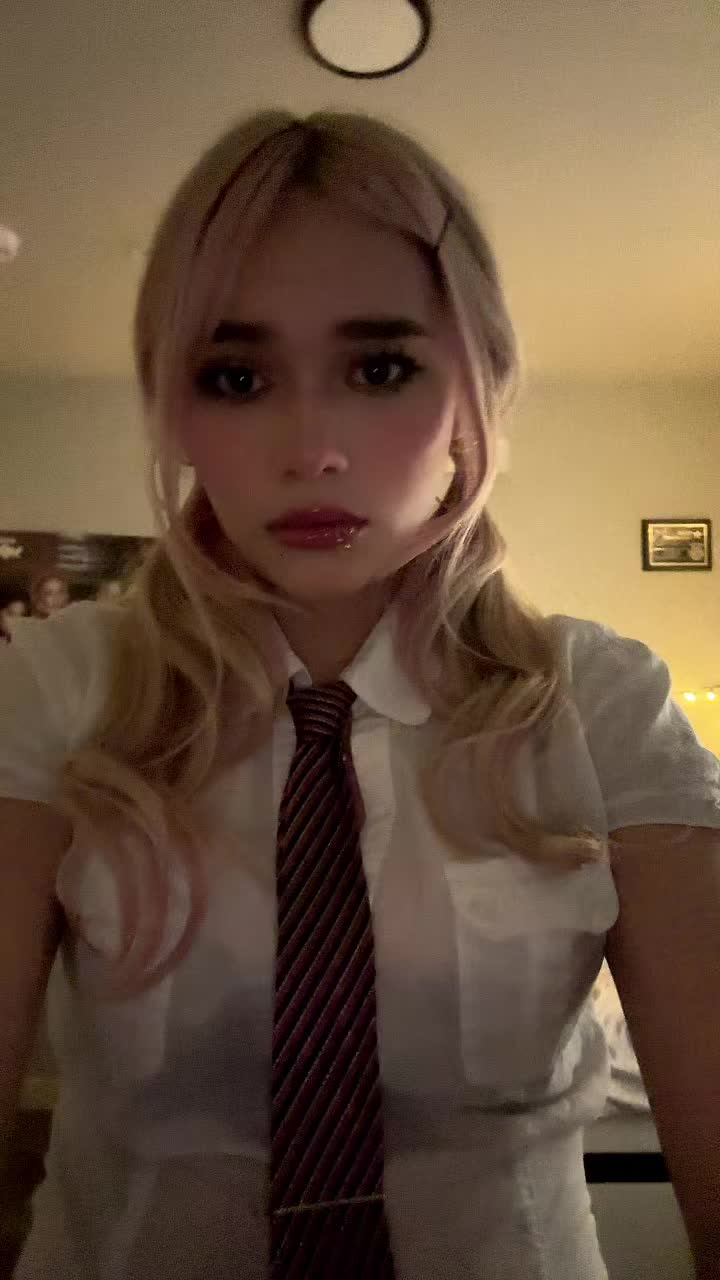 @dinopawwz