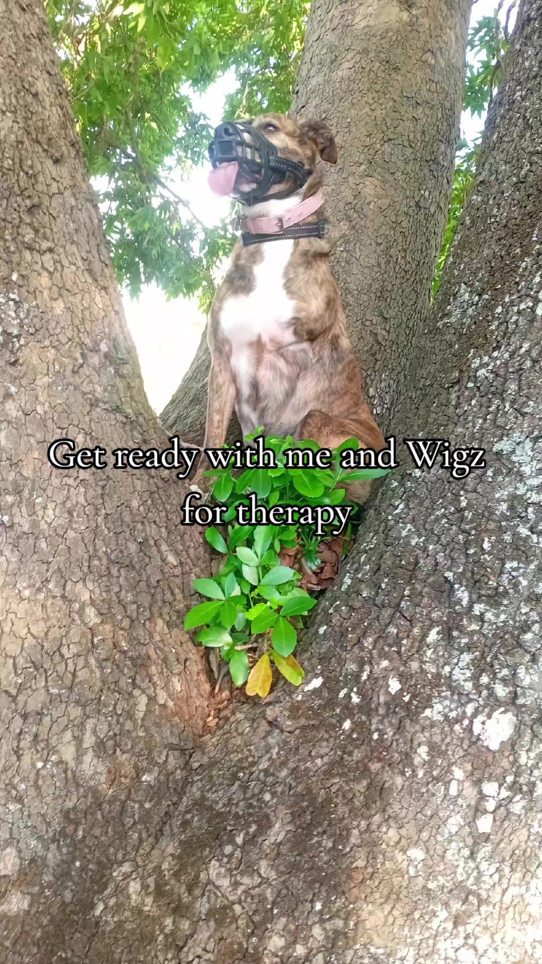 @Wigz