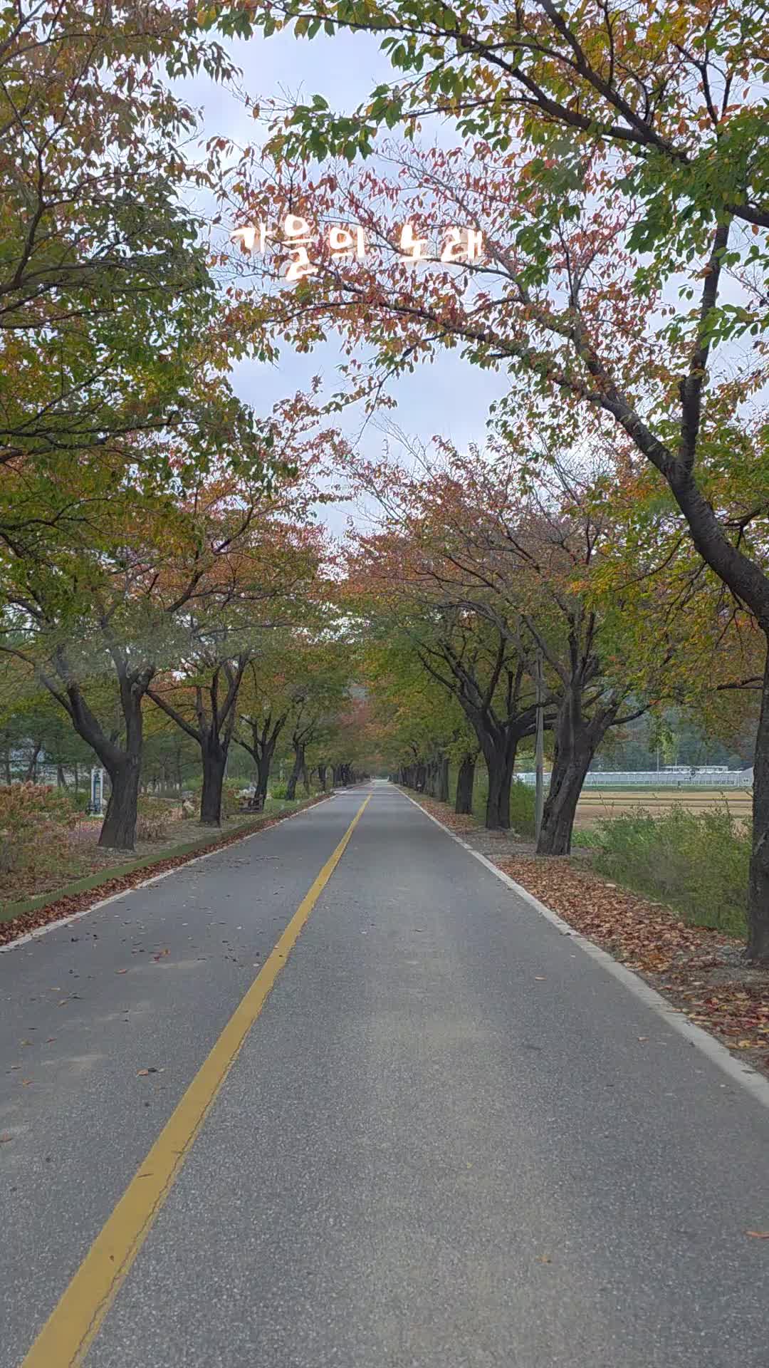 @유튜브 "정선사람들" 안용현