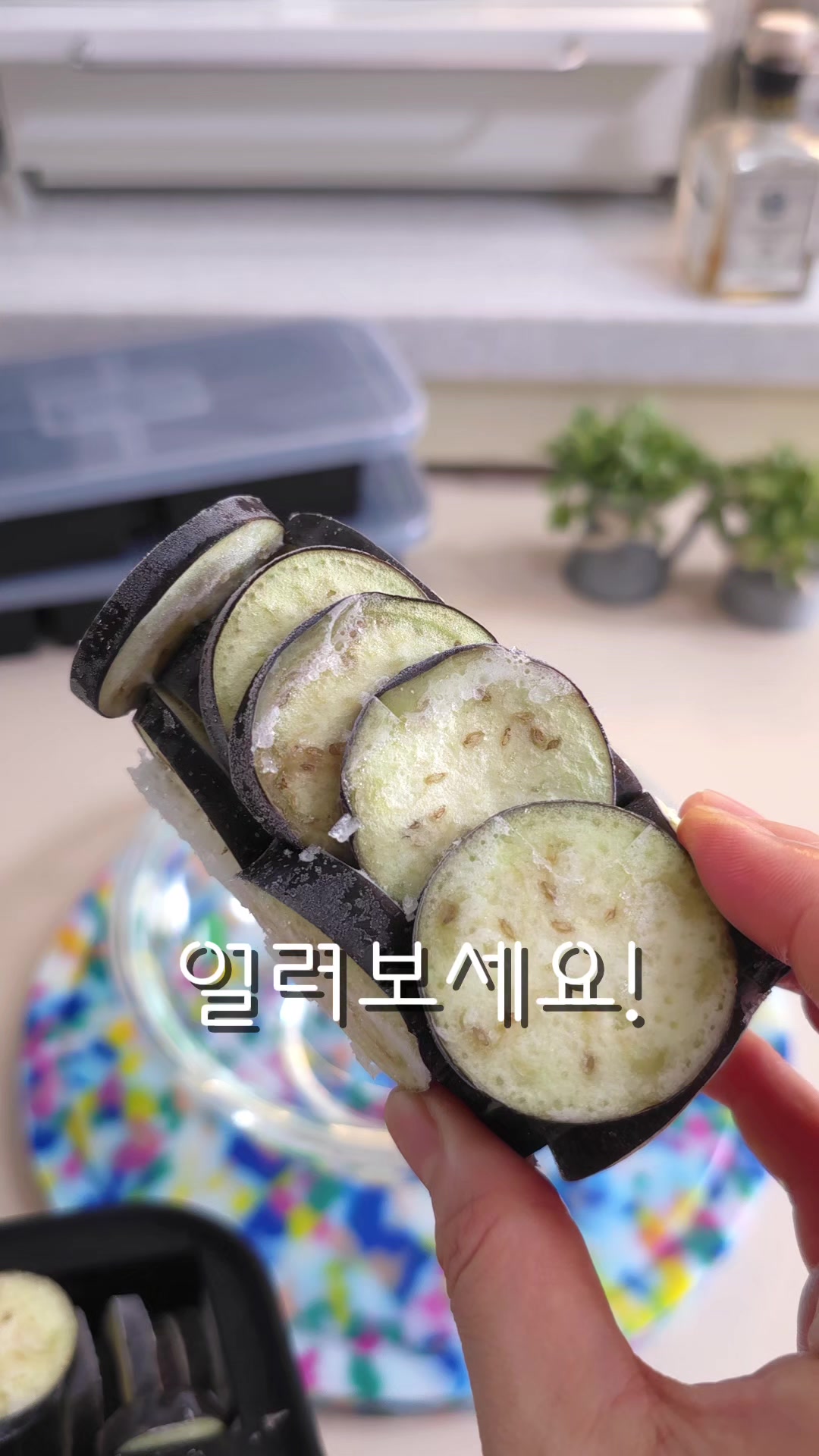 @굿데이