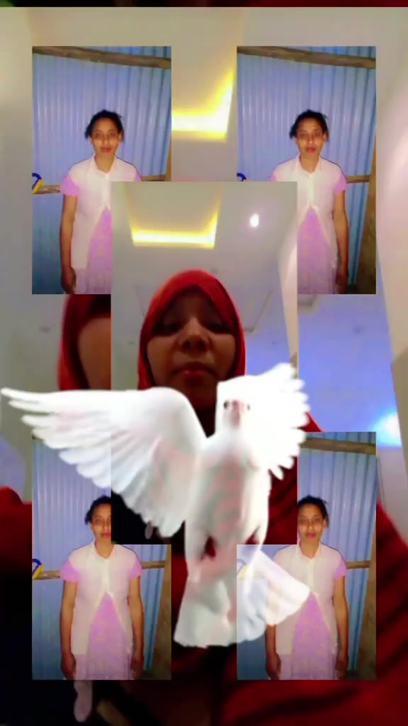 @toyba