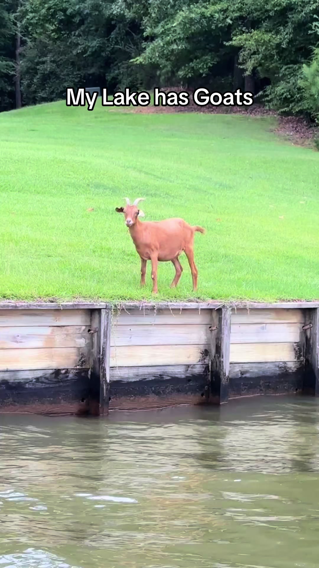 @Kristie_the_Pi🥉🐮❌