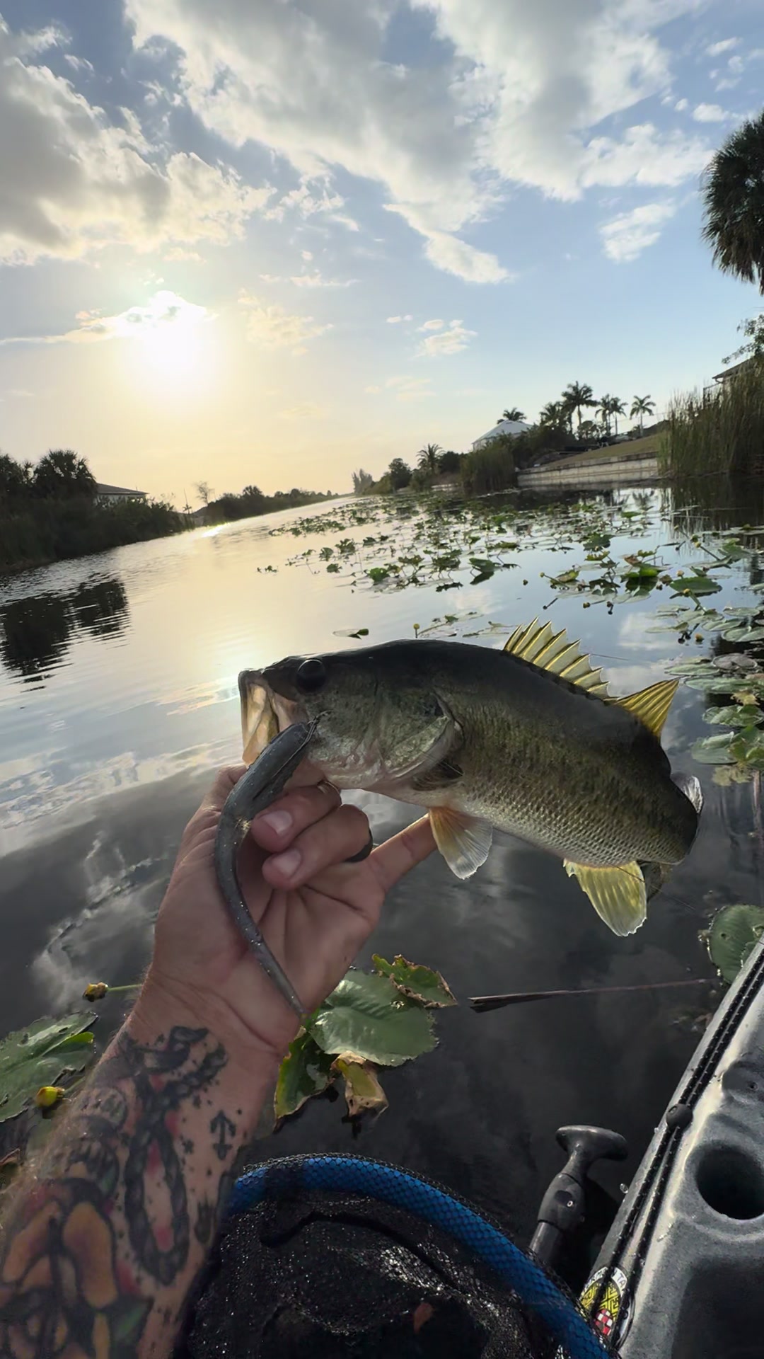 @Chasin Fish