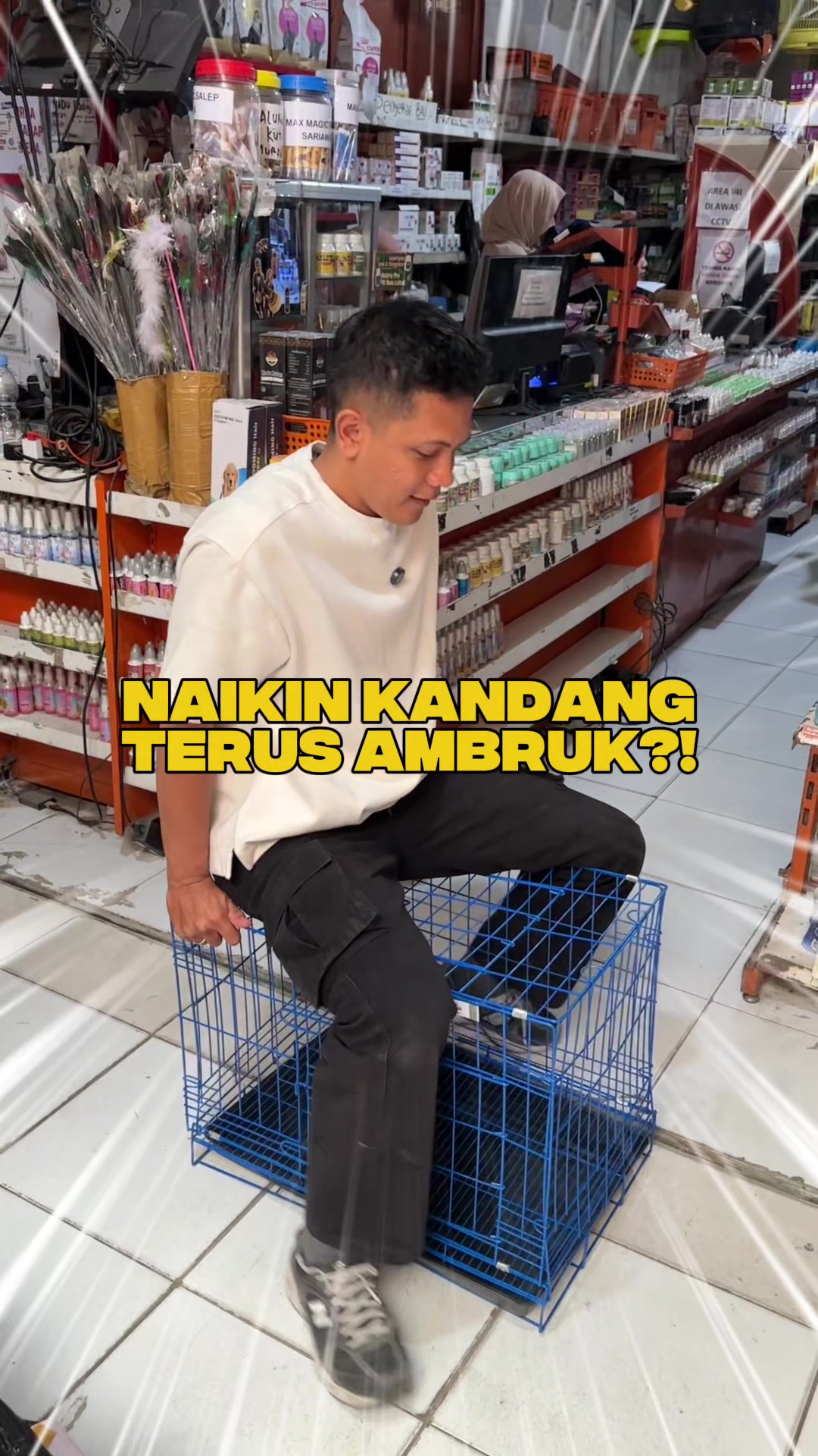 @bejo petmart