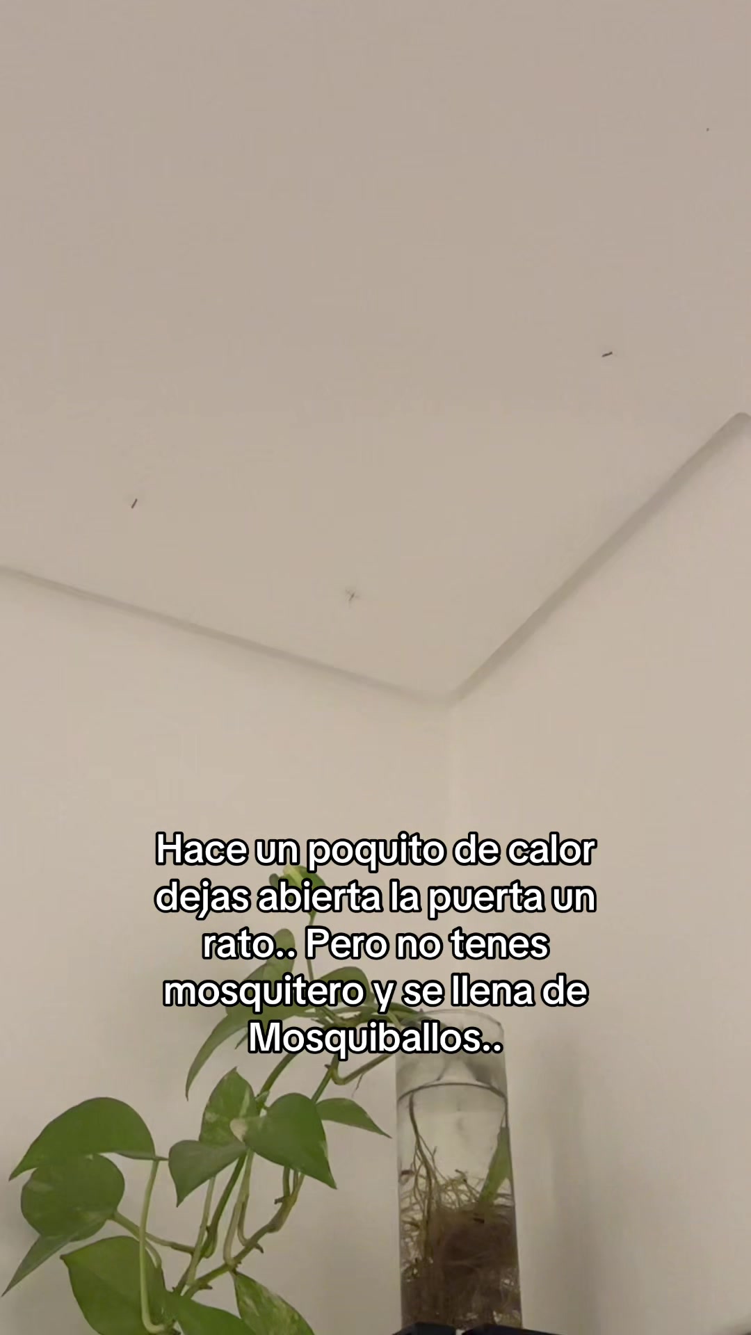 @🦋𝒟𝑒𝒷𝒷 𝐵𝒶𝓎𝒶𝓇𝓇𝑒𝓈🦋