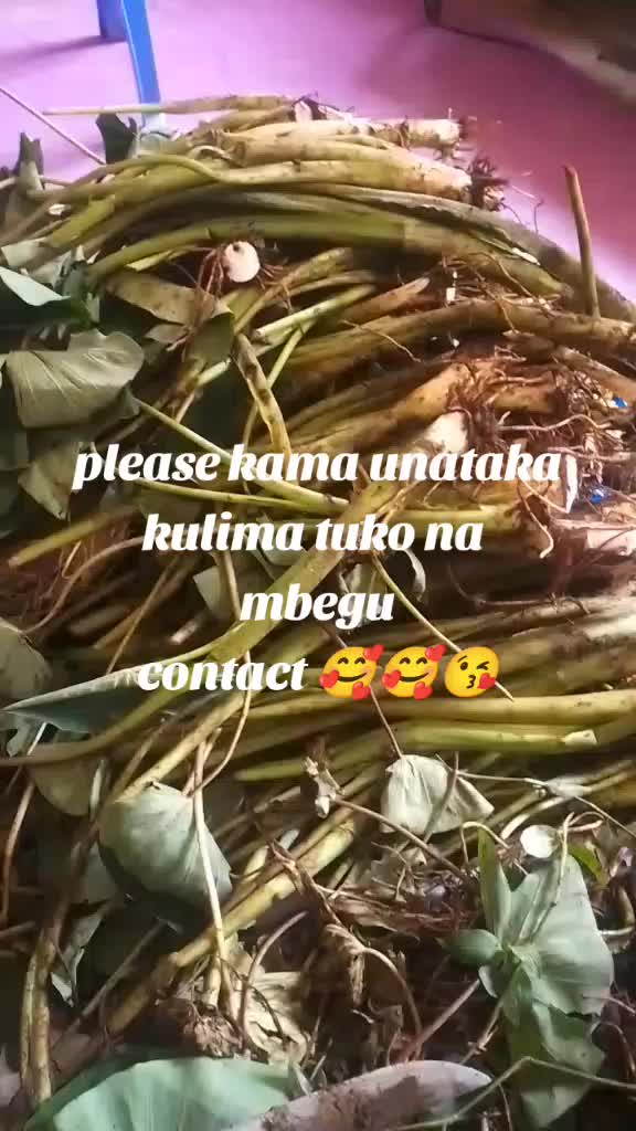 @Joy Gitonga