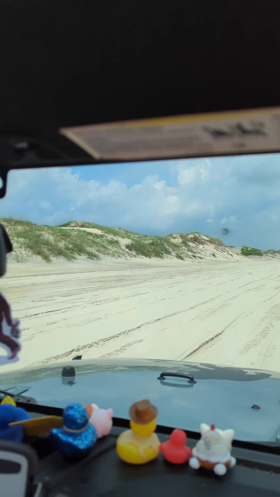 @manicmurph376