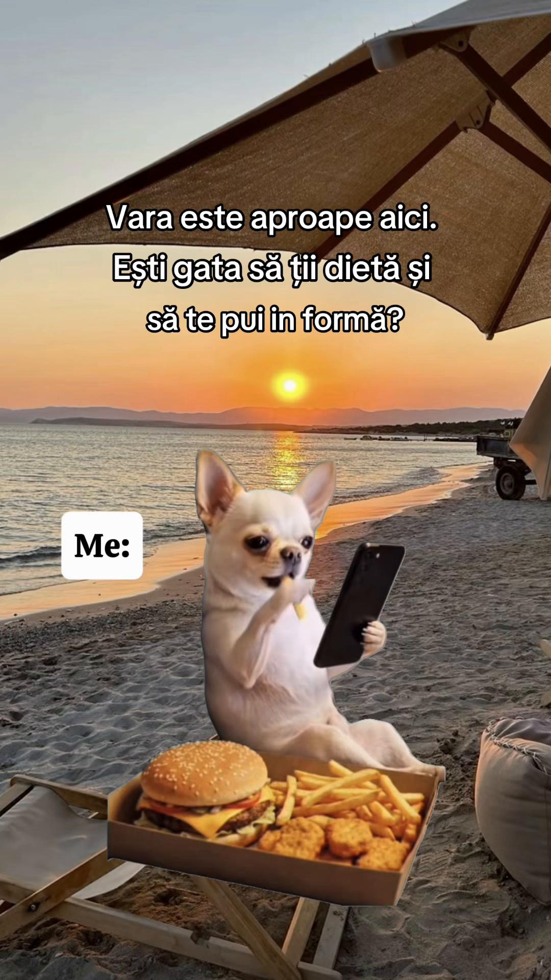 @Teodora