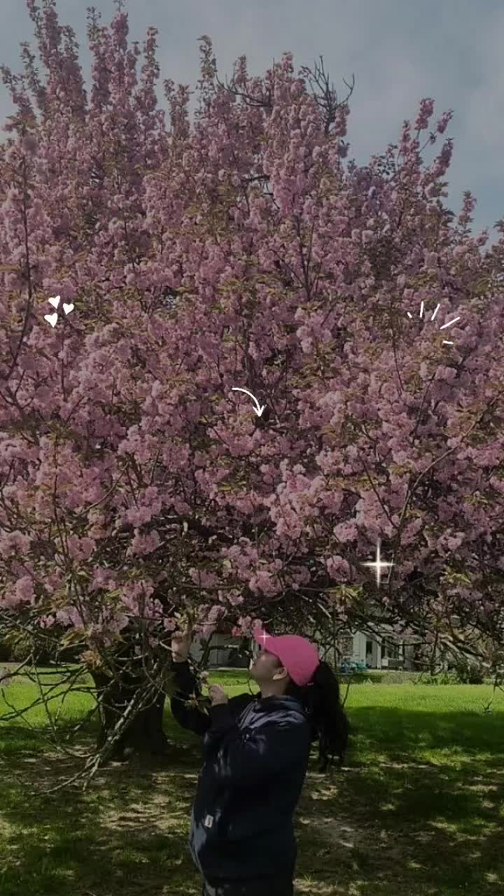 @Luzmaria