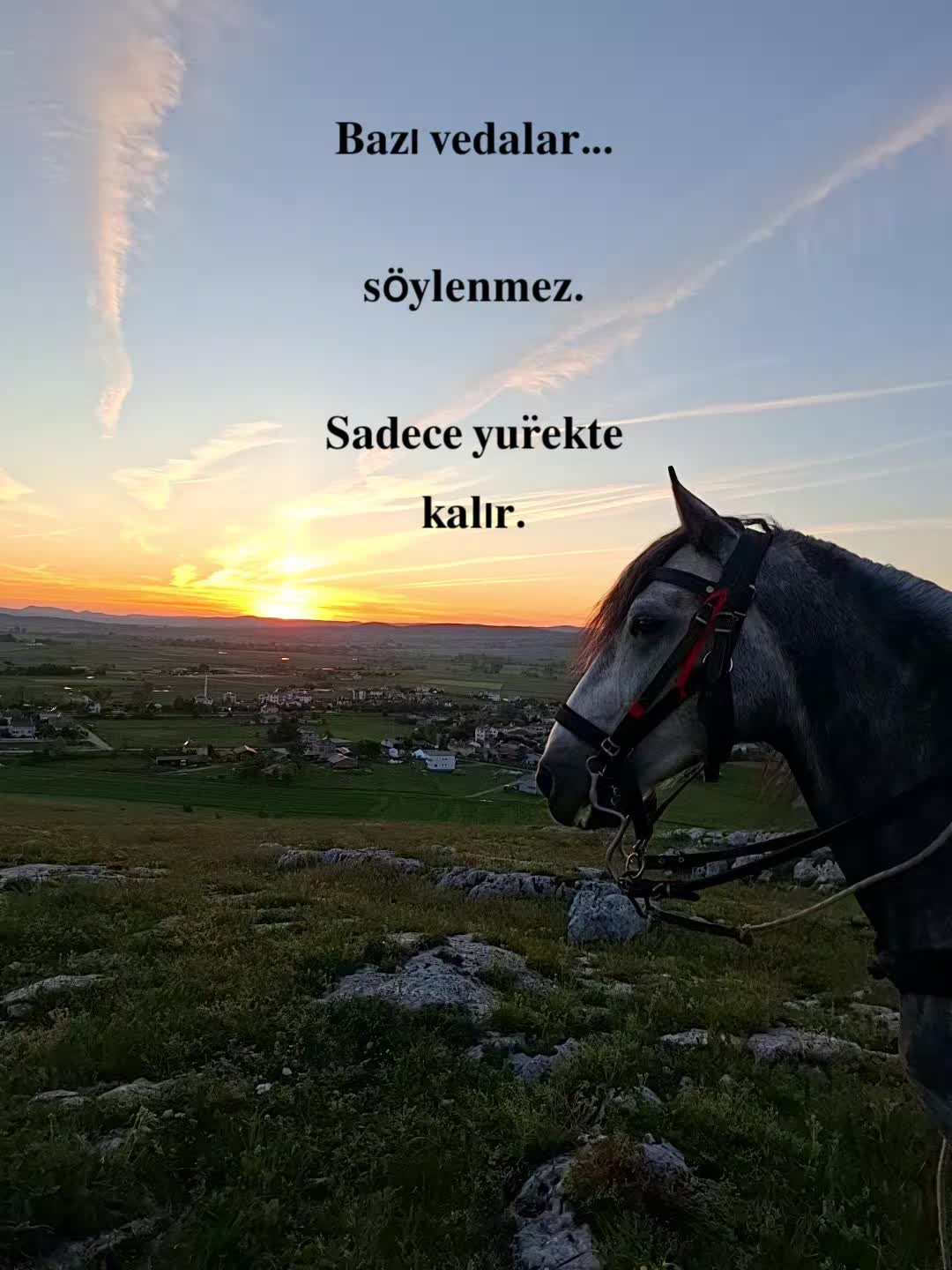 @Yusuf Ünal
