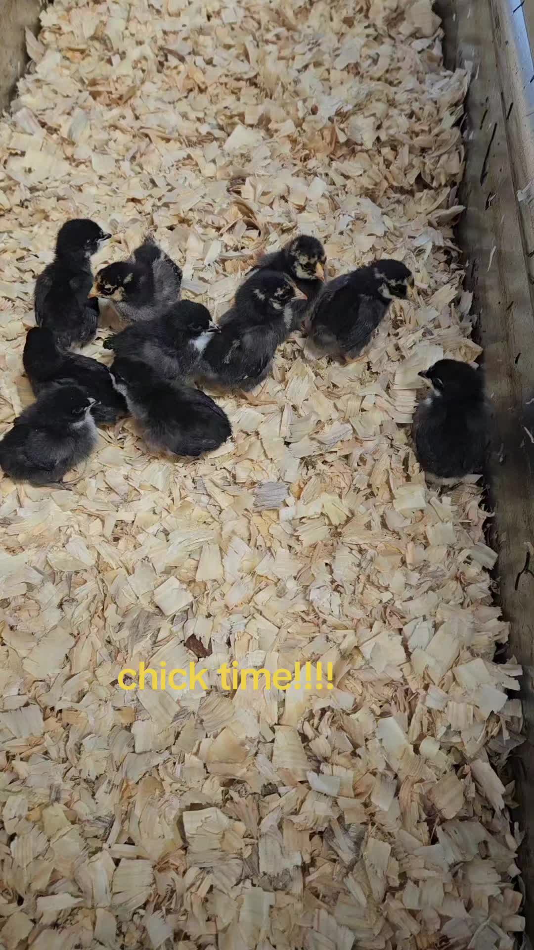 @SmallfarmBigDreams