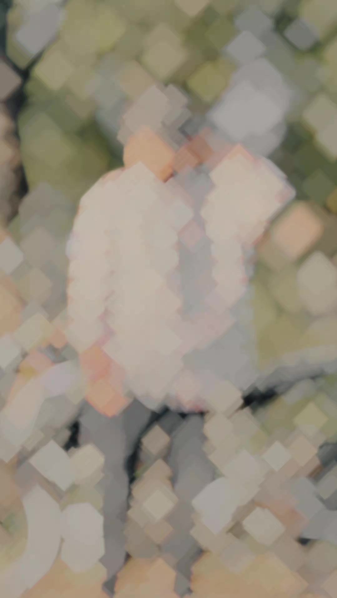 @X      Aʀᴛɪsᴛ  ⚕️