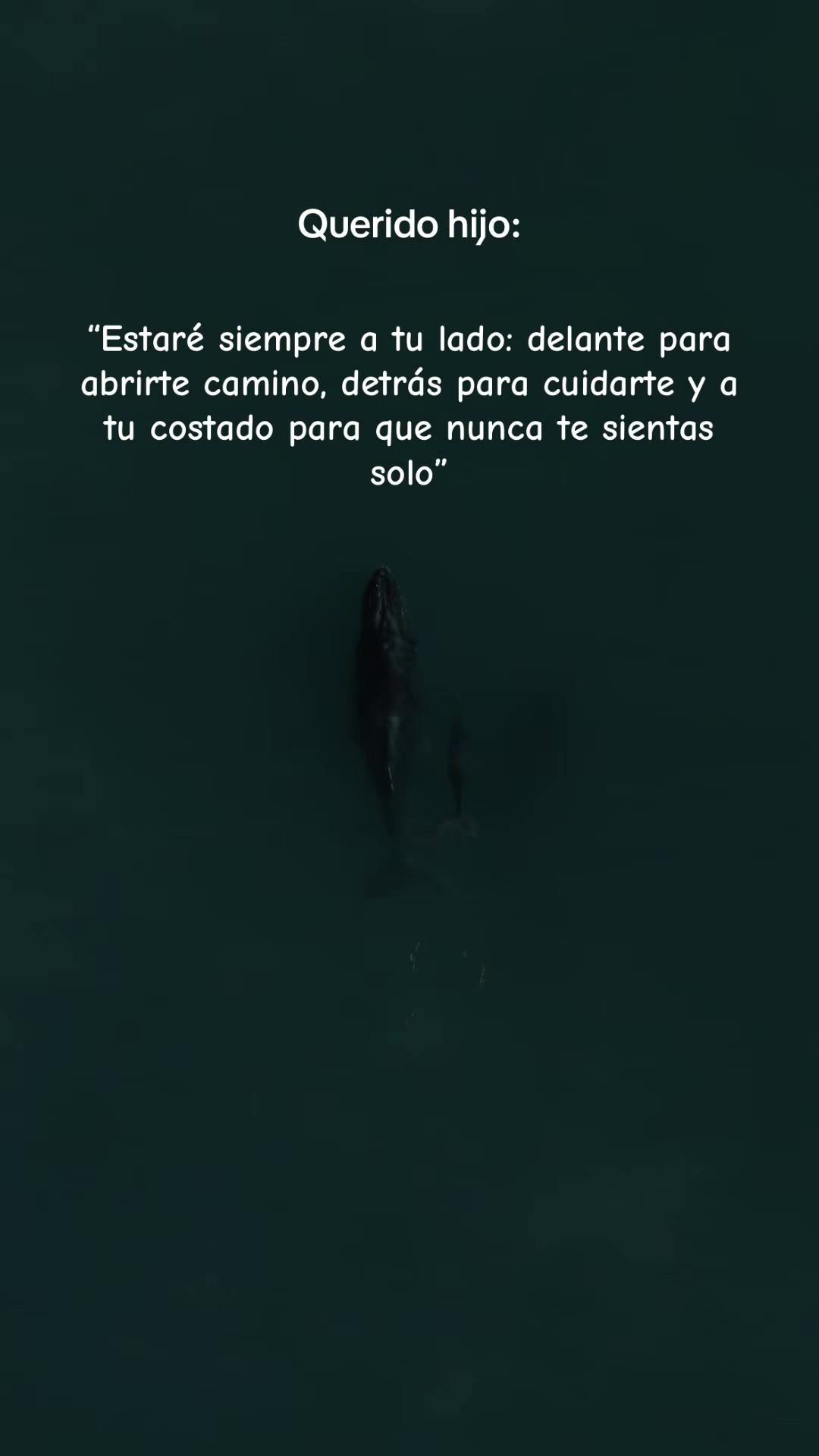 @𝓒𝓮𝓵𝓮𝓼𝓽𝓮❤️🦋
