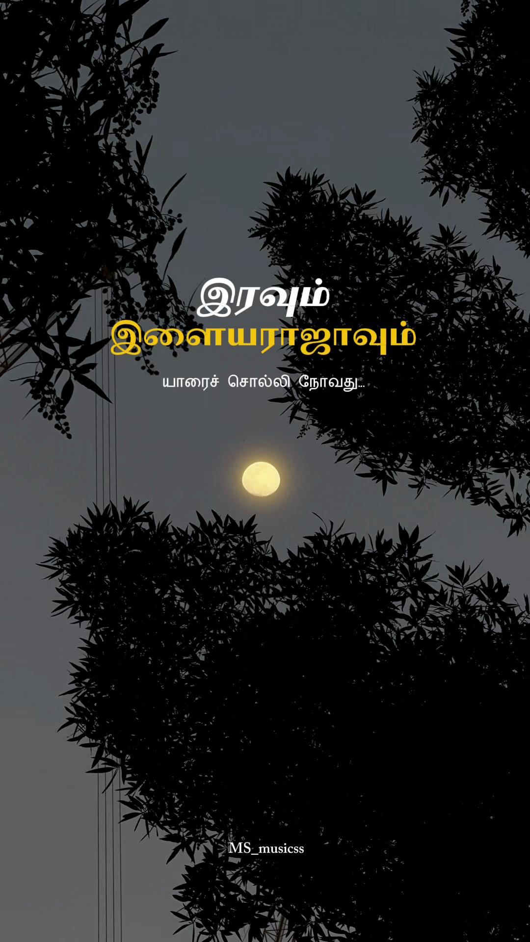 @SMS Photography