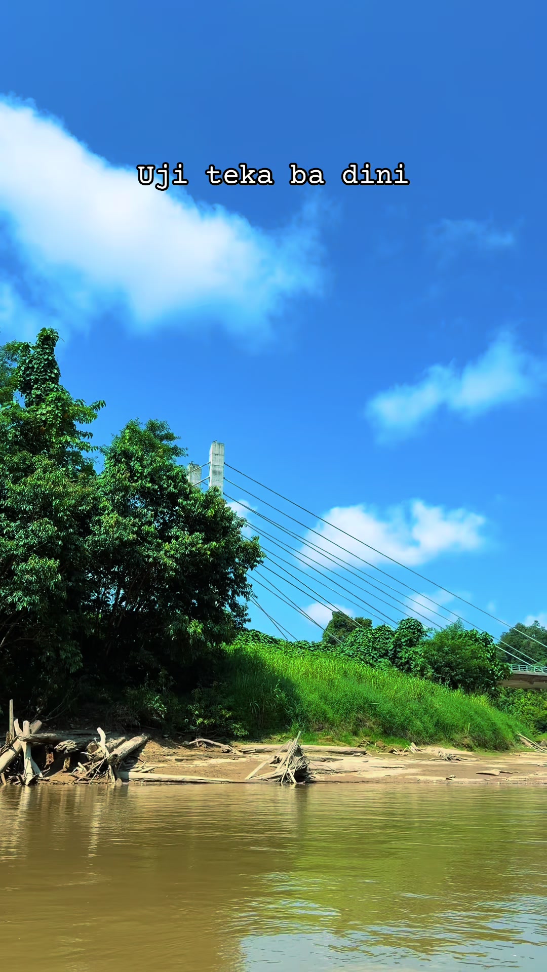 @SELAI