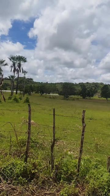 @maze leal🍀