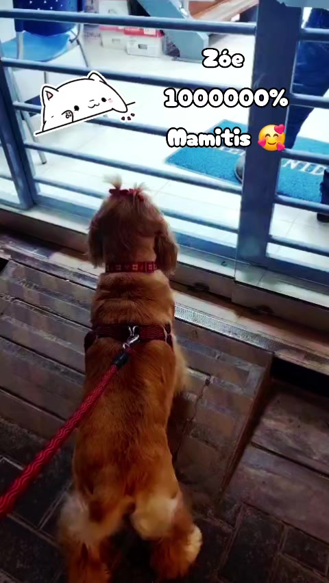 @⚘️♡ ꕷꛅꛎꚲꚶ 𖦪𖣠 ♡⚘️