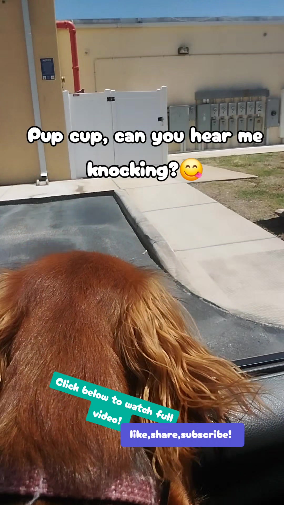@filmguy13z