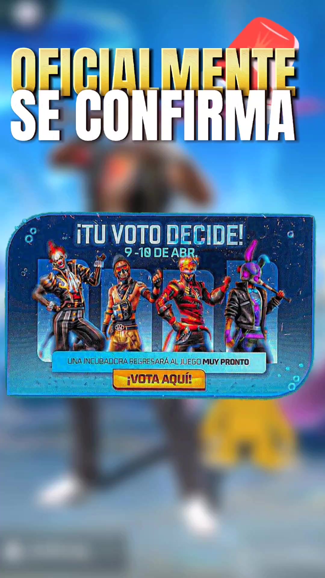 @team.negro